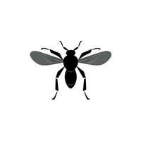 Black and gray insect with wings on a light background in a natural environment vector