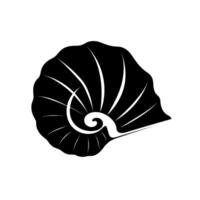 Intricate black and white shell design representing nature's beauty and symmetry vector