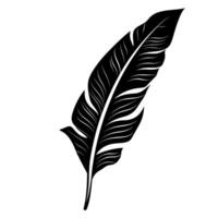 Elegant black feather with intricate details displayed against a plain background vector