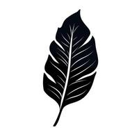 Creative black leaf design with intricate vein patterns on a light background vector