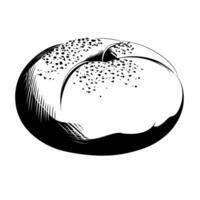 Freshly baked round bread with a crisp crust and sprinkled flour on top vector