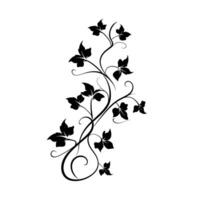 Intricate black vine design featuring leaves and tendrils on a white background vector