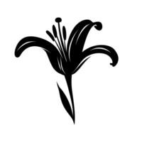 Elegant black silhouette of a lily flower set against a minimalist background vector