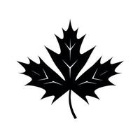Black silhouette of a maple leaf with distinct serrated edges and veins stands out vector