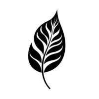 Silhouette of a leaf with intricate patterns showcasing nature's design vector