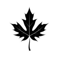 Black silhouette of a maple leaf on a light background showcasing nature's design vector