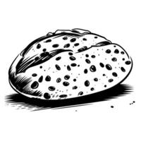 Freshly baked bread roll with sesame seeds resting on a flat surface vector