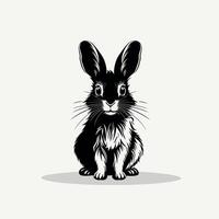 Black and white rabbit illustration sitting on a light background vector