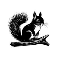 Squirrel perched on a tree branch in a natural setting during daylight hours vector