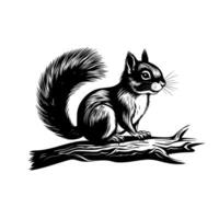 Squirrel resting on a branch in a natural habitat during daylight hours vector