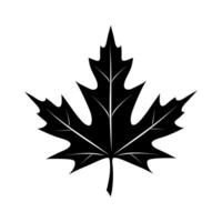 Black silhouette of a maple leaf on a light background showcasing natural beauty vector