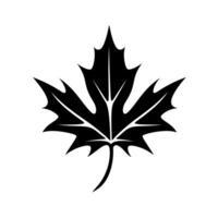 Black silhouette of a maple leaf representing autumn season and nature vector