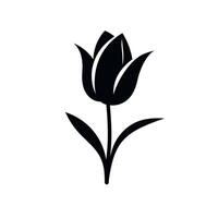 Elegant black silhouette of a tulip flower with leaves on a white background vector