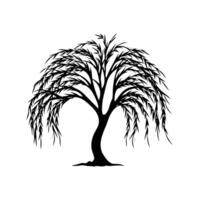Silhouette of a willow tree with drooping branches in a minimalist style vector