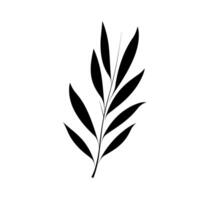 Black leaf design showcasing elegant shapes and lines in a minimalist style vector