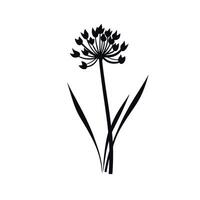 Black silhouette of a flowering plant with elongated leaves on a white background vector