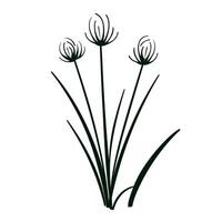 Unique silhouette of chives with delicate blooms in minimalist design style vector