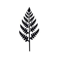 Detailed black silhouette of a fern leaf on a plain background highlighting its intricate structure vector