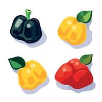 Colorful illustrations of bell peppers in various colors and shapes displayed on a white background vector