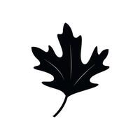 Black silhouette of a maple leaf resting on a light background vector