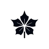 Decorative black leaf silhouette on a white background for graphic design and artwork vector