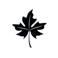 Black silhouette of a maple leaf against a white background with detailed veins and shape vector