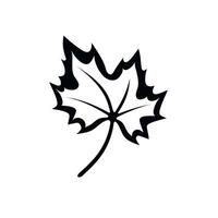 Autumn leaf silhouette on a white background showcasing intricate details of nature vector