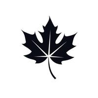 Black silhouette of a maple leaf on a plain background showcasing natural beauty vector