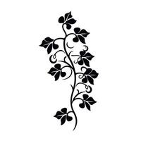 Elegant black vine design with leaves and curls ideal for decoration vector