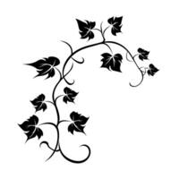 Elegant black vine illustration with intricate details and flowing design elements vector