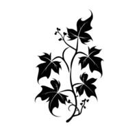 Decorative black vine with leaves and berries designed for unique art applications vector