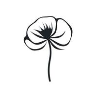 Black and white illustration of a cotton flower on a simple background vector
