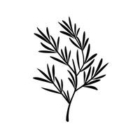 Elegant black silhouette of a leafy branch with fine details on a white background vector