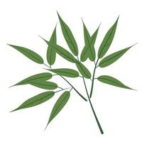 Vibrant green bamboo leaves softly arranged against a neutral background vector