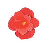 Bright red flower with layered petals and yellow center on a plain background vector