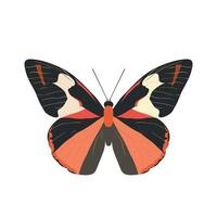 Colorful butterfly with distinctive patterns resting in a natural setting vector