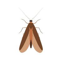 Detailed illustration of a moth showcasing its unique features and colors in a natural context vector