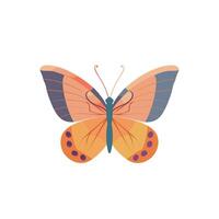 Colorful butterfly resting on a surface during a sunny day in a serene environment vector