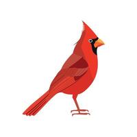Bright red cardinal perched on a branch in a serene natural setting during daylight vector