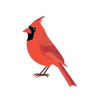 Bright red cardinal perched on a branch in a colorful, stylized representation vector