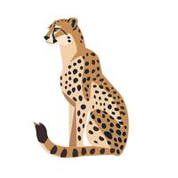 Cheetah sitting gracefully against a white background showcasing its distinct spots vector