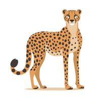 Cheetah standing proudly in a minimalist style with vibrant colors and clear features vector