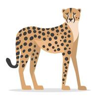 Cheetah standing upright with spots in a playful artistic style illustration vector