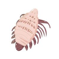 Unique illustration of an isopod showcasing its distinct features and anatomy vector