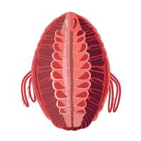 Unique close-up view of a colorful marine creature showcasing its intricate features vector