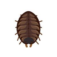 Close-up view of a woodlice showing its distinct segmented body and antennae vector