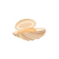 Clams open to reveal soft flesh and smooth texture in coastal seafood cuisine vector