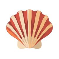 Colorful shell with striped pattern found on the beach during summer season vector