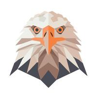 Unique geometric representation of an eagle's head in a minimalist style vector