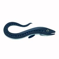 Unique illustration of an eel swimming gracefully in a calm water setting vector